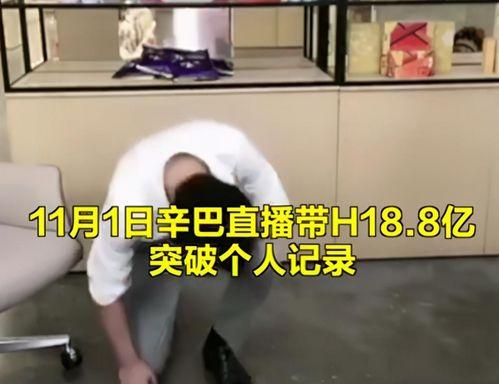 辛巴讽刺爆料者视频,真相与谣言的较量  第3张