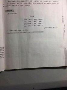 教材最新爆料网站,独家资讯，教育界风向标  第3张