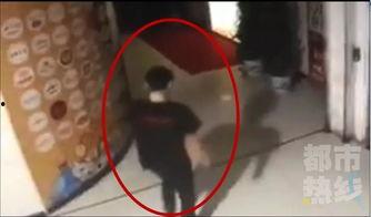 在线观看厕所偷拍,网络直播厕所偷拍事件揭秘  第3张