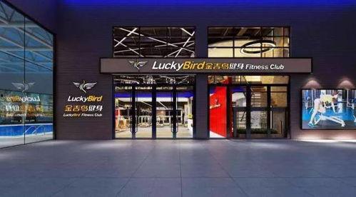 金吉鸟最新爆料图片高清,惊艳瞬间尽收眼底  第3张