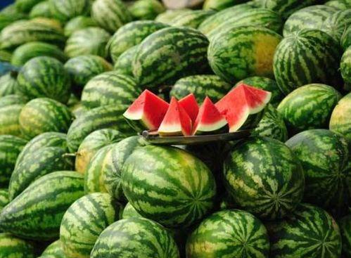 内蒙古拉拉圈网红吃瓜事件  第3张